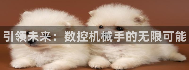 天辰娱乐娱乐注册:引领未来:数控机械手的无限可能