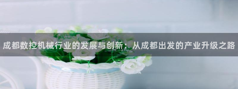 天辰娱乐维护:成都数控机械行业的发展与创新:从成都出发的产业升级之路