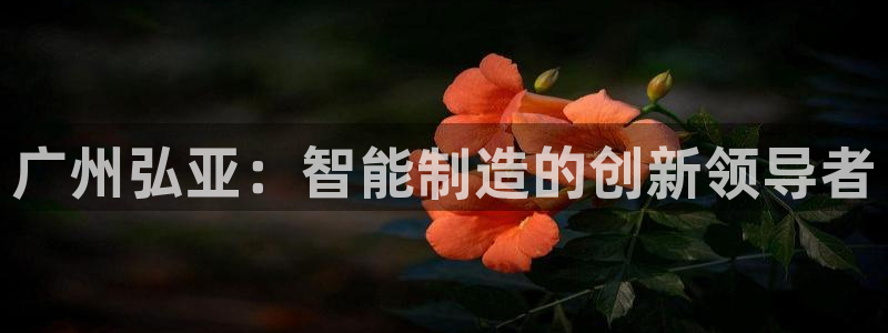 天辰娱乐首选:广州弘亚:智能制造的创新领导者