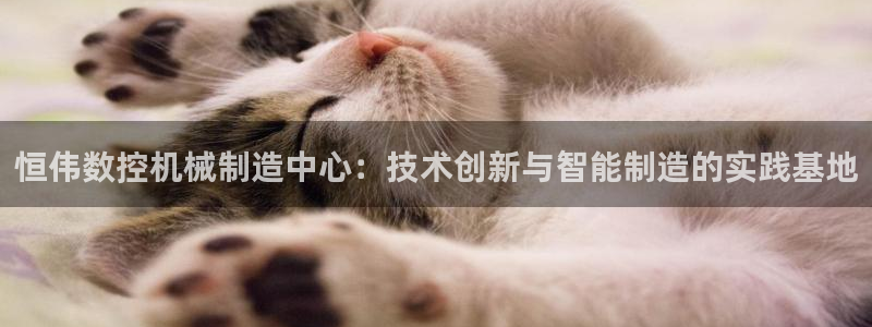 天辰娱乐上级:恒伟数控机械制造中心:技术创新与智能制造的实践基地