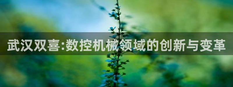 天辰娱乐总管:武汉双喜:数控机械领域的创新与变革