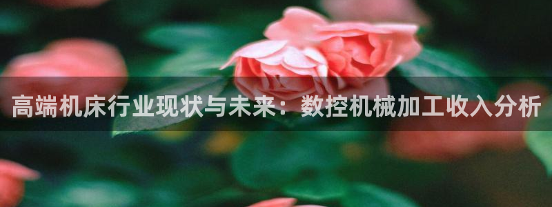 天辰娱乐appxi:高端机床行业现状与未来:数控机械加工收入分析