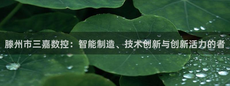 天辰娱乐 注册:滕州市三嘉数控:智能制造、技术创新与创新活力的者