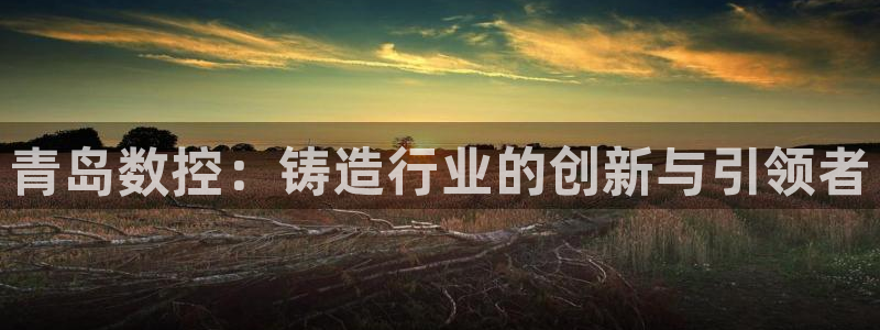 天辰娱乐老板:青岛数控:铸造行业的创新与引领者